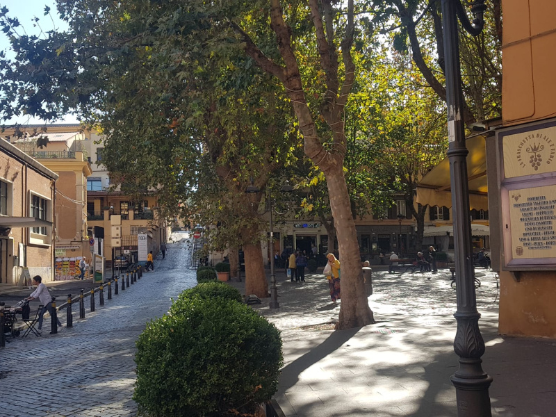 Tipologia Immobile: appartamento Provincia: roma Comune: frascati Località: centro Indirizzo: Piazza Del Mercato