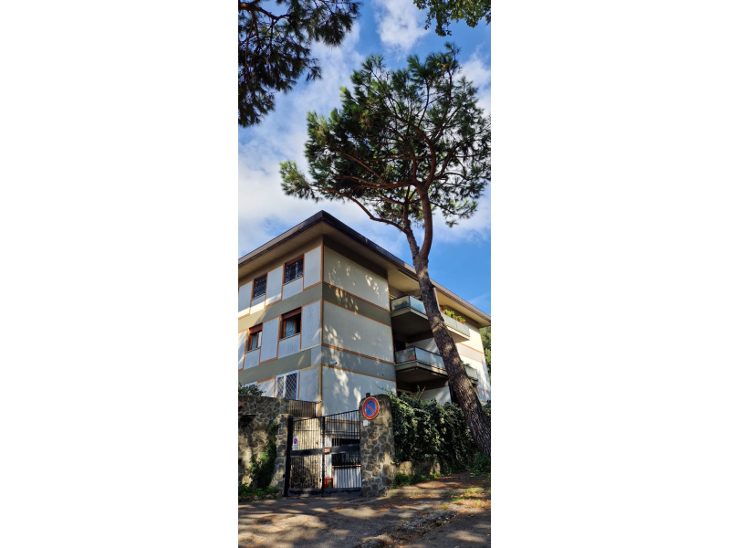 Tipologia Immobile: appartamento Provincia: roma Comune: marino Località: centro urbano Indirizzo: Via Vecchia di Grottaferrata
