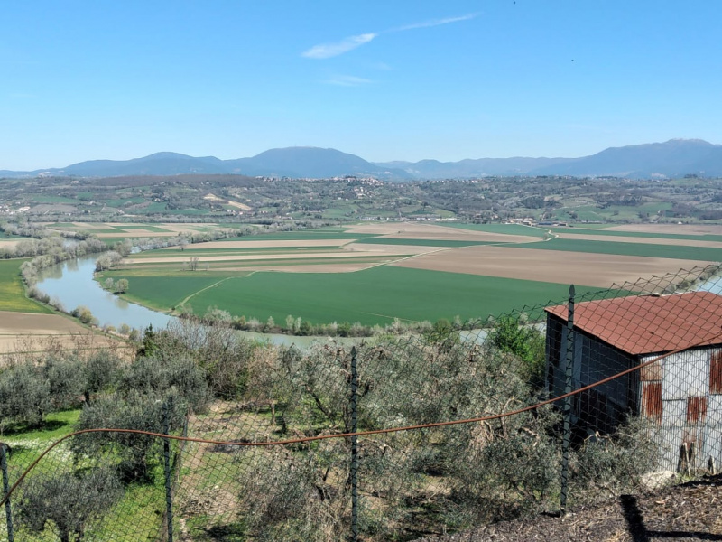 Tipologia Immobile: appartamento Provincia: roma Comune: ponzano romano Località:  Indirizzo: