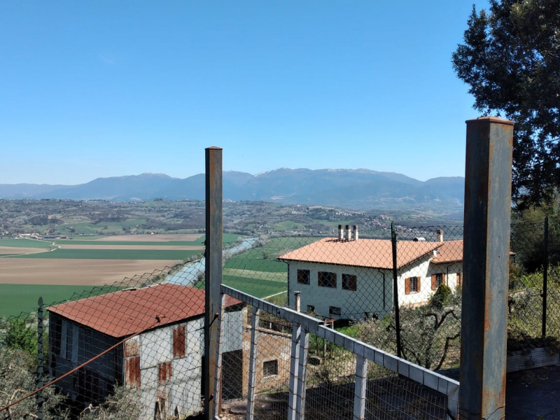 Tipologia Immobile: appartamento Provincia: roma Comune: ponzano romano Località:  Indirizzo: