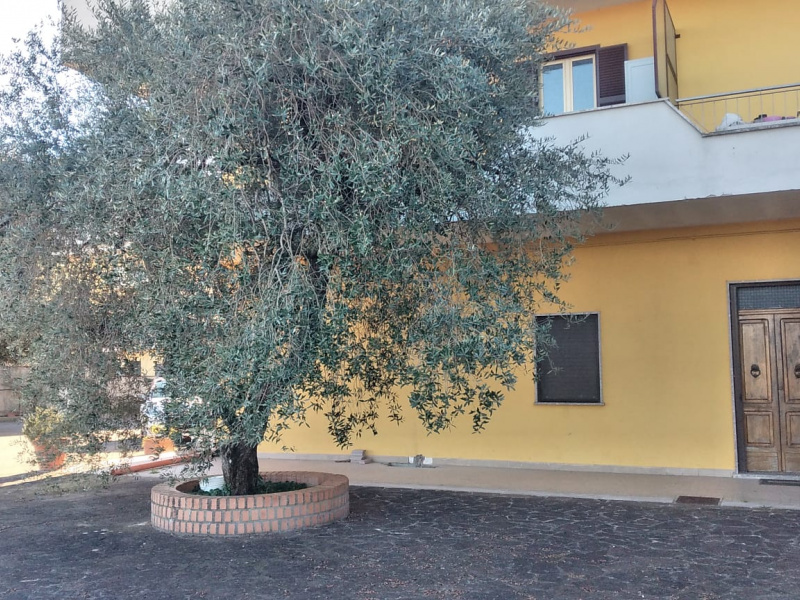 Tipologia Immobile: appartamento Provincia: roma Comune: ponzano romano Località:  Indirizzo:
