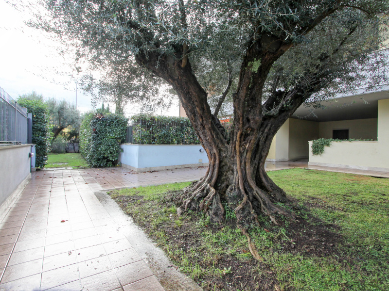 Tipologia Immobile: appartamento Provincia: roma Comune: roma Località: colle del sole Indirizzo: Via Giba