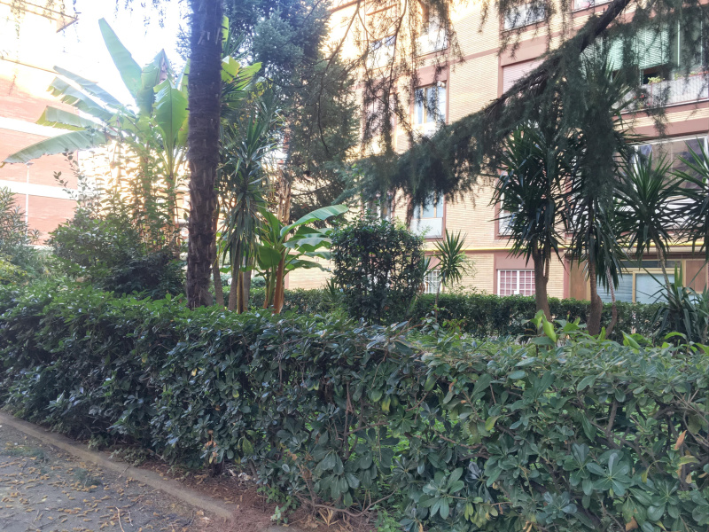 Tipologia Immobile: appartamento Provincia: roma Comune: roma Località: torrevecchia Indirizzo: Via dei Cristofori