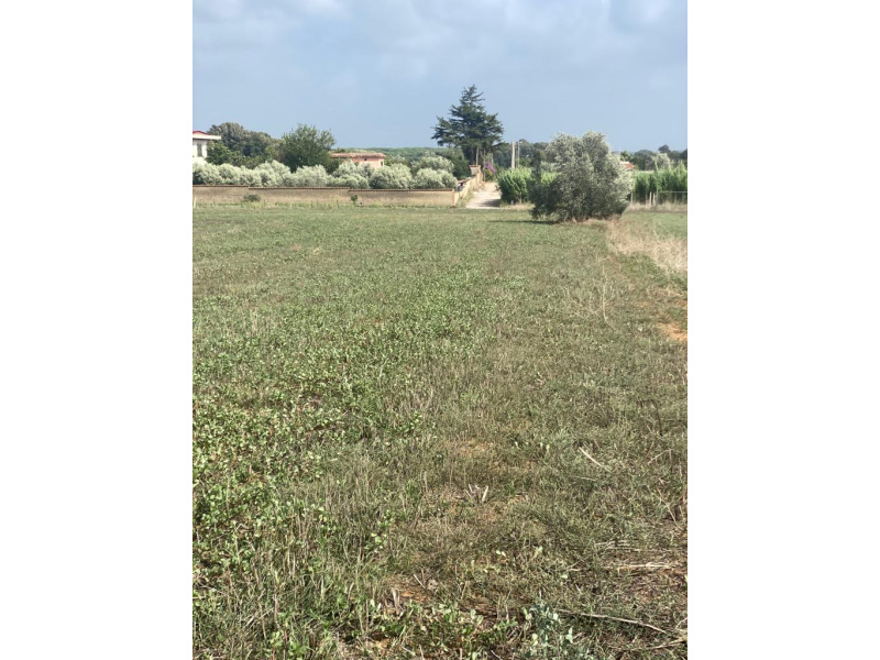 Tipologia Immobile: terreno agricolo Provincia: roma Comune: anzio Località: anzio Indirizzo: Via dell' Armellino