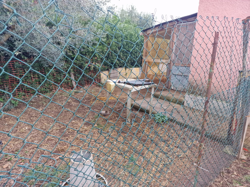 Tipologia Immobile: terreno agricolo Provincia: roma Comune: genzano di roma Località:  Indirizzo: Via Fausto Gullo
