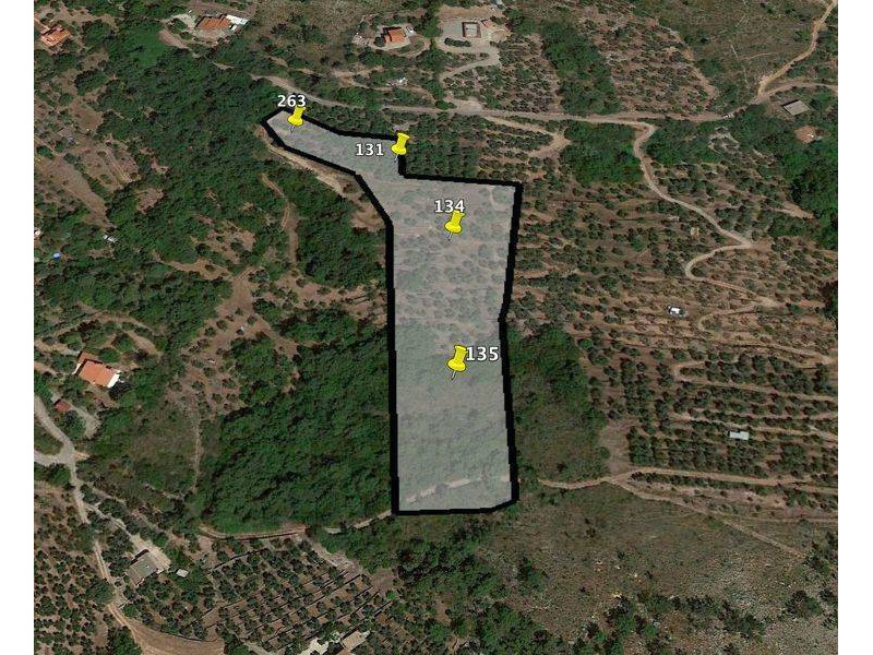 Tipologia Immobile: terreno agricolo Provincia: latina Comune: itri Località:  Indirizzo: Via Santo Stefano