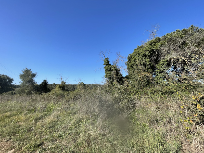 Tipologia Immobile: terreno agricolo Provincia: roma Comune: nettuno Località:  Indirizzo: Via Siracusa