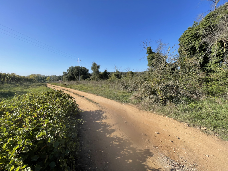 Tipologia Immobile: terreno agricolo Provincia: roma Comune: nettuno Località:  Indirizzo: Via Siracusa