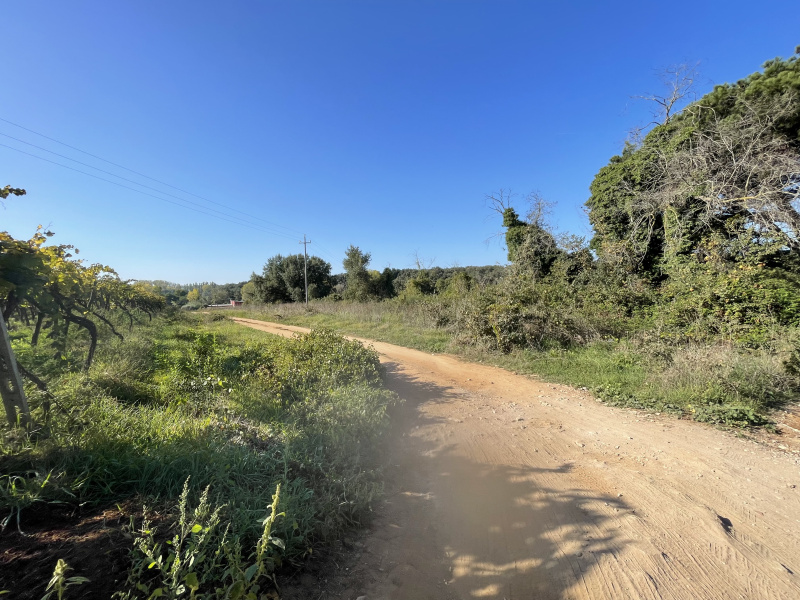 Tipologia Immobile: terreno agricolo Provincia: roma Comune: nettuno Località:  Indirizzo: Via Siracusa