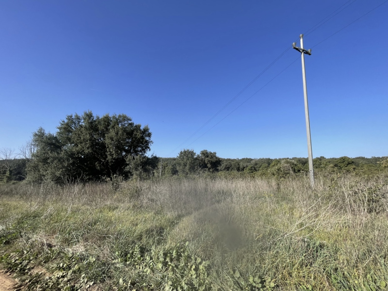 Tipologia Immobile: terreno agricolo Provincia: roma Comune: nettuno Località:  Indirizzo: Via Siracusa