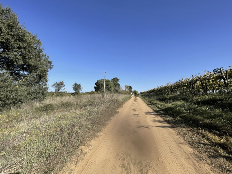 Tipologia Immobile: terreno agricolo Provincia: roma Comune: nettuno Località:  Indirizzo: Via Siracusa