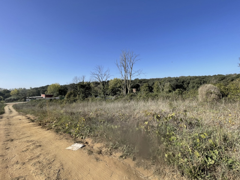 Tipologia Immobile: terreno agricolo Provincia: roma Comune: nettuno Località:  Indirizzo: Via Siracusa