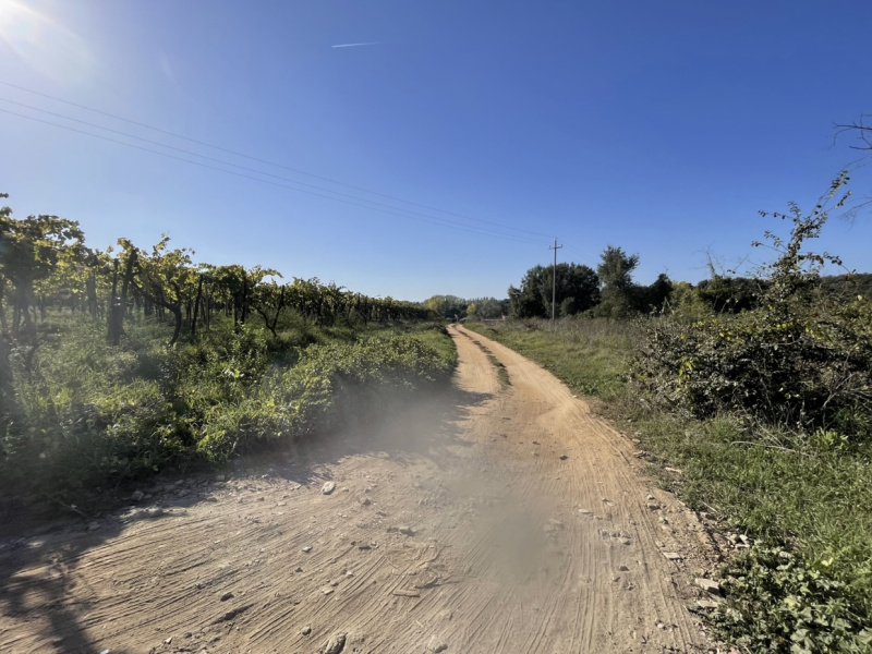 Tipologia Immobile: terreno agricolo Provincia: roma Comune: nettuno Località:  Indirizzo: Via Siracusa