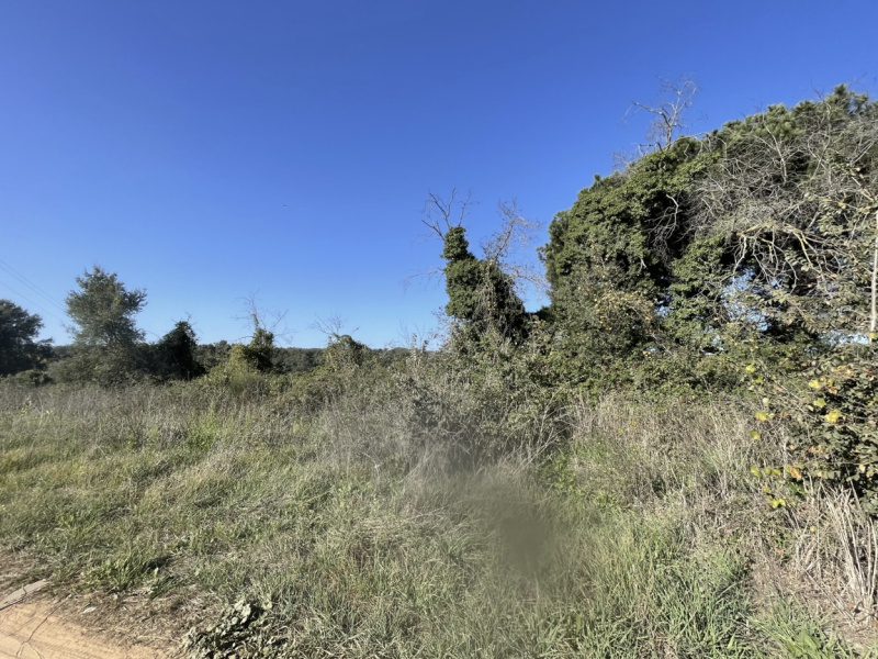 Tipologia Immobile: terreno agricolo Provincia: roma Comune: nettuno Località:  Indirizzo: Via Siracusa