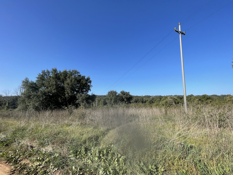 Tipologia Immobile: terreno agricolo Provincia: roma Comune: nettuno Località:  Indirizzo: Via Siracusa
