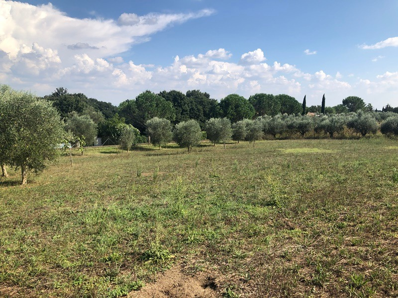 Tipologia Immobile: terreno agricolo Provincia: roma Comune: roma Località: la storta Indirizzo: Via Castellamonte