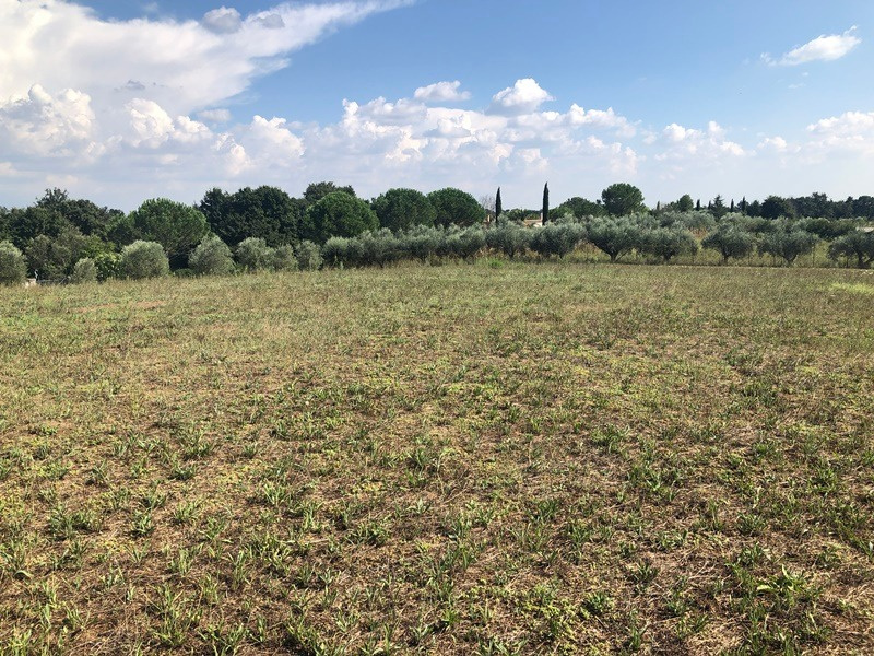 Tipologia Immobile: terreno agricolo Provincia: roma Comune: roma Località: la storta Indirizzo: Via Castellamonte
