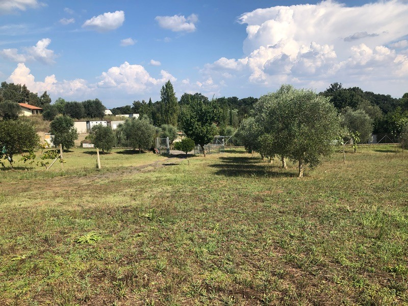 Tipologia Immobile: terreno agricolo Provincia: roma Comune: roma Località: la storta Indirizzo: Via Castellamonte