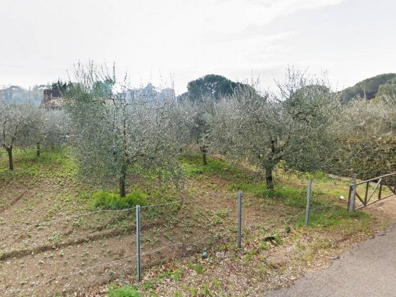 Tipologia Immobile: terreno edificabile Provincia: roma Comune: gallicano nel lazio Località:  Indirizzo: Via di Santa Maria