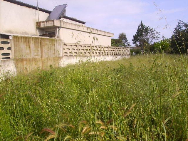 Tipologia Immobile: terreno edificabile Provincia: latina Comune: terracina Località: lungomare circe Indirizzo: Via San Felice Circeo