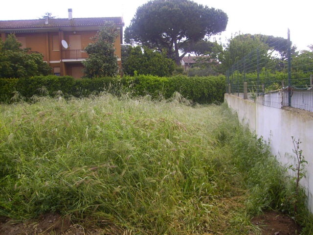 Tipologia Immobile: terreno edificabile Provincia: latina Comune: terracina Località: lungomare circe Indirizzo: Via San Felice Circeo