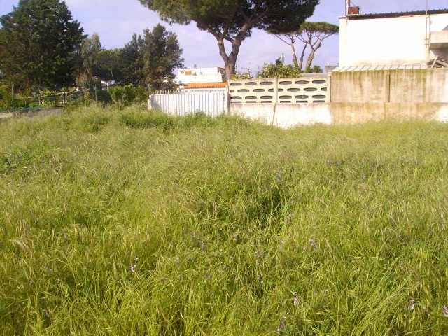 Tipologia Immobile: terreno edificabile Provincia: latina Comune: terracina Località: lungomare circe Indirizzo: Via San Felice Circeo