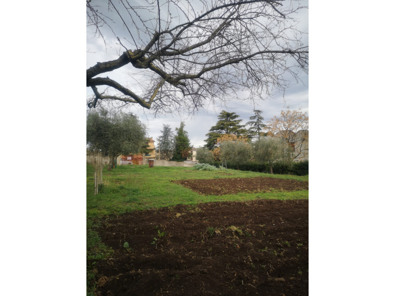 Tipologia Immobile: terreno edificabile Provincia: roma Comune: zagarolo Località:  Indirizzo: Via Palmiro Togliatti