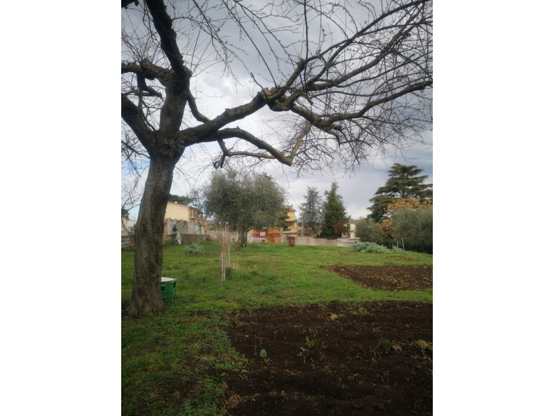 Tipologia Immobile: terreno edificabile Provincia: roma Comune: zagarolo Località:  Indirizzo: Via Palmiro Togliatti
