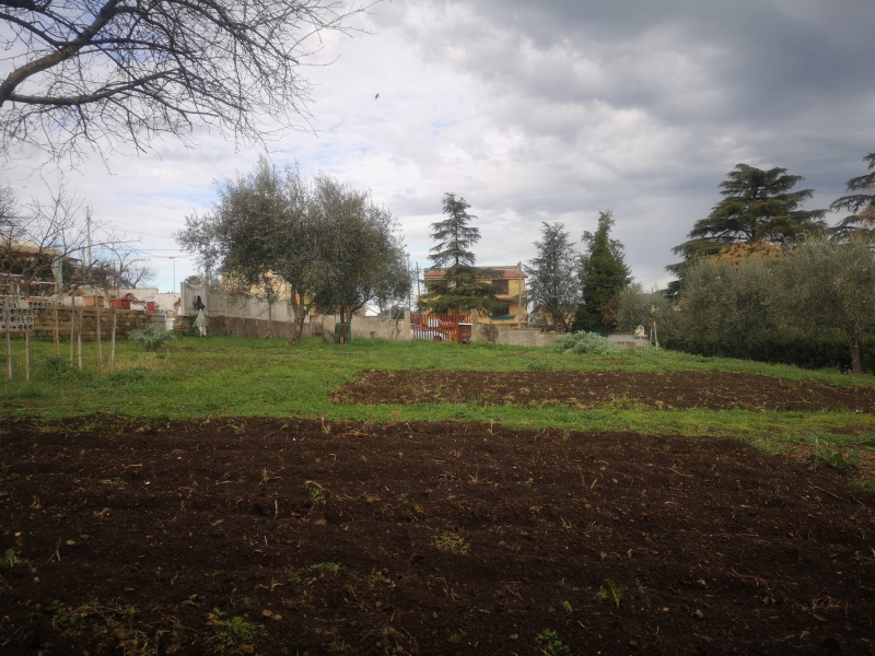 Tipologia Immobile: terreno edificabile Provincia: roma Comune: zagarolo Località:  Indirizzo: Via Palmiro Togliatti