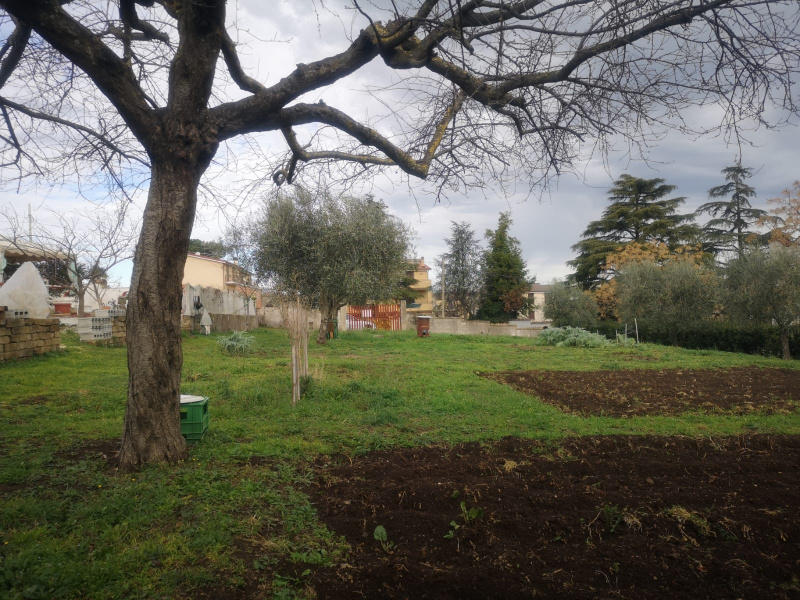 Tipologia Immobile: terreno edificabile Provincia: roma Comune: zagarolo Località:  Indirizzo: Via Palmiro Togliatti