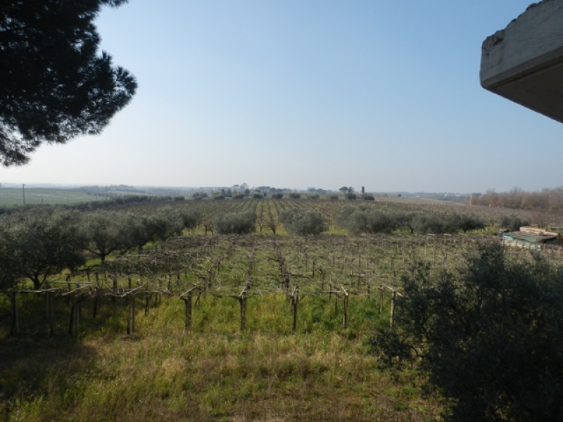 Tipologia Immobile: villa/indipendente Provincia: latina Comune: aprilia Località: campoleone Indirizzo: Via Tufello