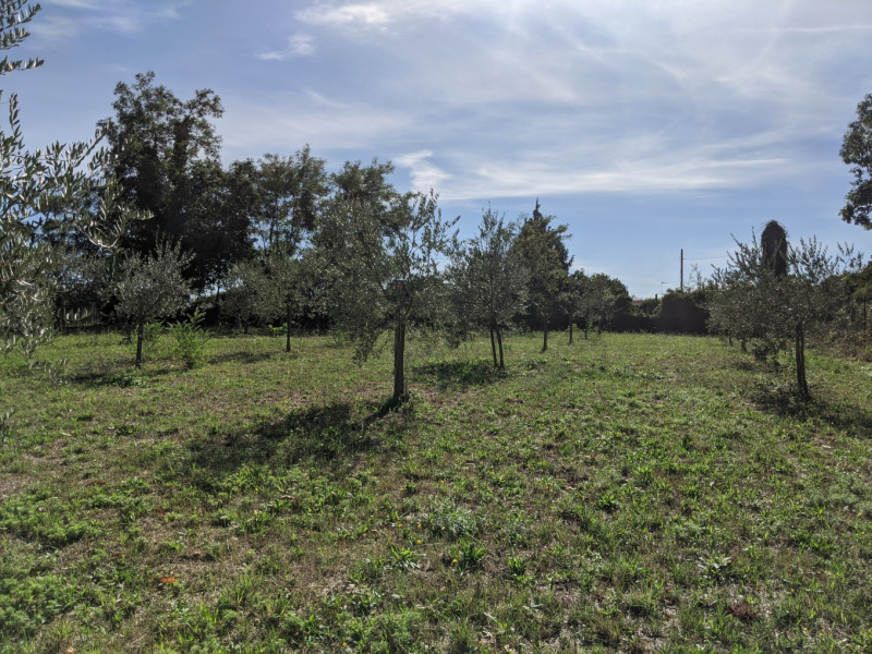 Tipologia Immobile: villa/indipendente Provincia: roma Comune: artena Località:  Indirizzo: Contrada Colle della Castagna