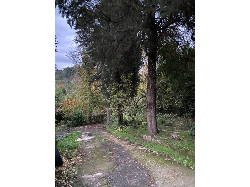 Tipologia Immobile: villa/indipendente Provincia: roma Comune: capena Località:  Indirizzo: