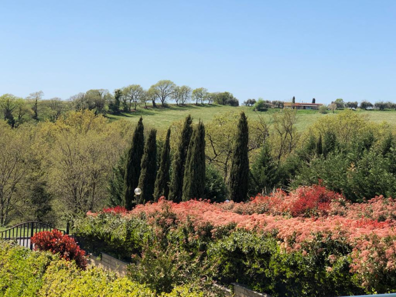 Tipologia Immobile: villa/indipendente Provincia: roma Comune: sacrofano Località: monte caminetto Indirizzo: Via dei Pioppi
