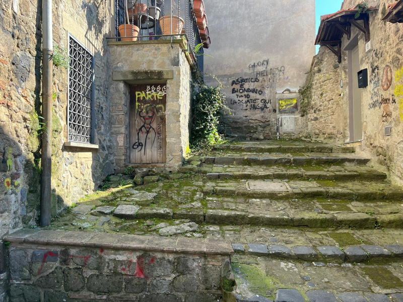Tipologia Immobile: negozio Provincia: roma Comune: anguillara sabazia Località:  Indirizzo: Vicolo delle Scalette