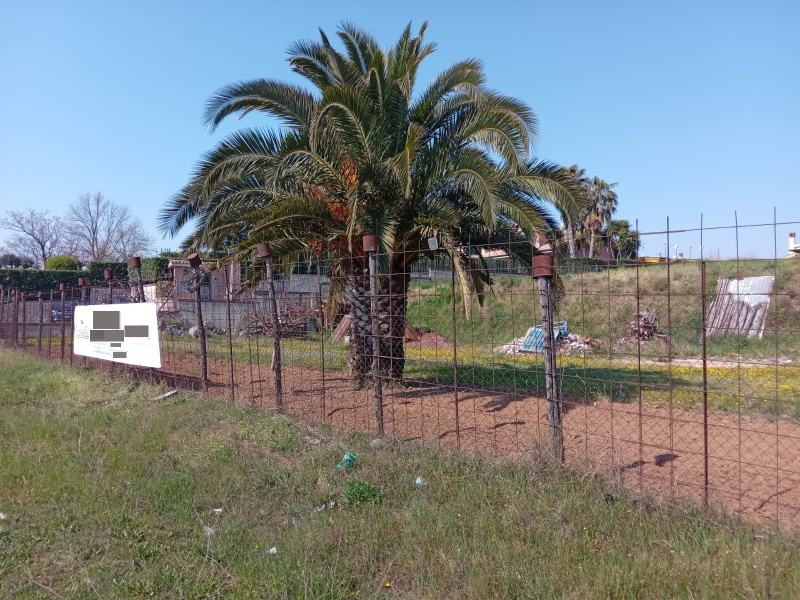 Tipologia Immobile: terreno edificabile Provincia: roma Comune: guidonia montecelio Località:  Indirizzo: Via Casal Bianco