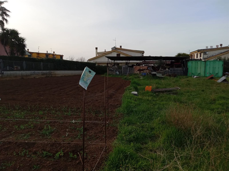 Tipologia Immobile: terreno edificabile Provincia: roma Comune: guidonia montecelio Località:  Indirizzo: Via Casal Bianco