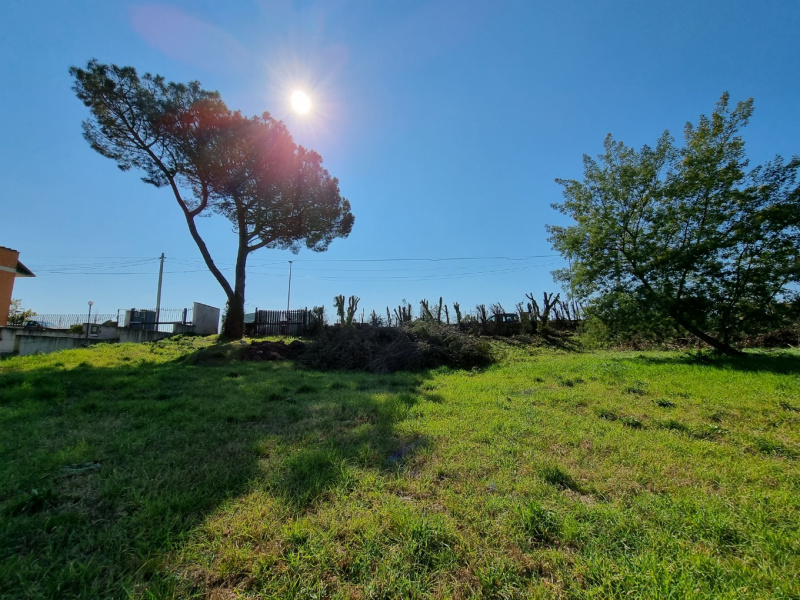 Tipologia Immobile: terreno edificabile Provincia: roma Comune: roma Località: boccea Indirizzo: Via Locana