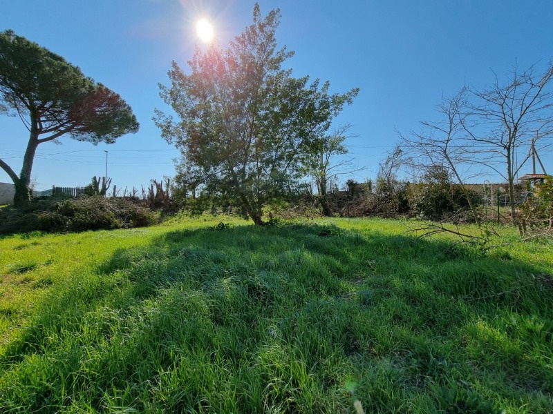 Tipologia Immobile: terreno edificabile Provincia: roma Comune: roma Località: boccea Indirizzo: Via Locana