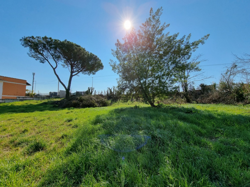 Tipologia Immobile: terreno edificabile Provincia: roma Comune: roma Località: boccea Indirizzo: Via Locana