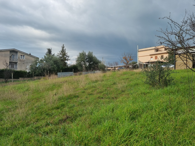 Tipologia Immobile: terreno edificabile Provincia: roma Comune: zagarolo Località:  Indirizzo: Via Angelo Poliziano