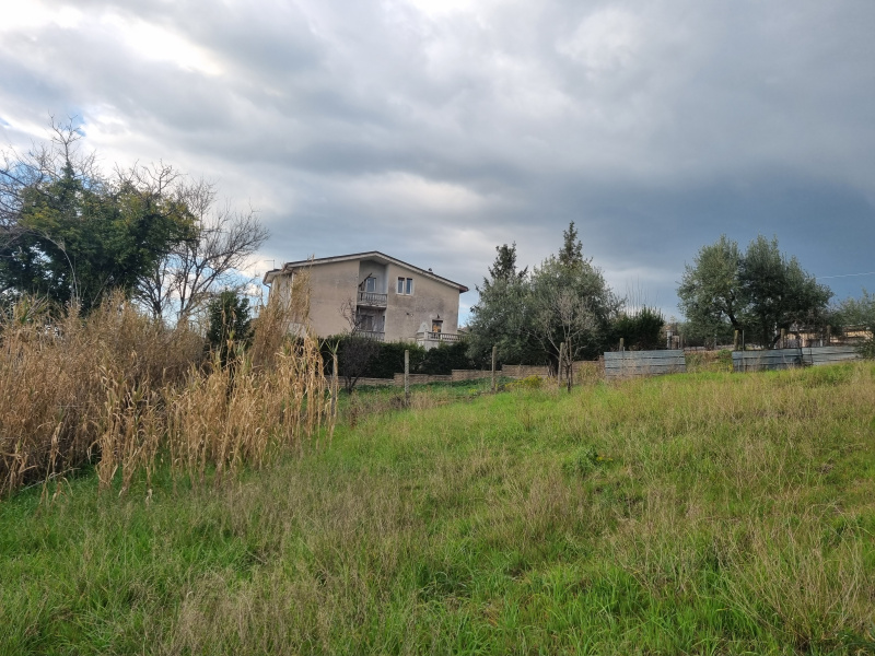 Tipologia Immobile: terreno edificabile Provincia: roma Comune: zagarolo Località:  Indirizzo: Via Angelo Poliziano
