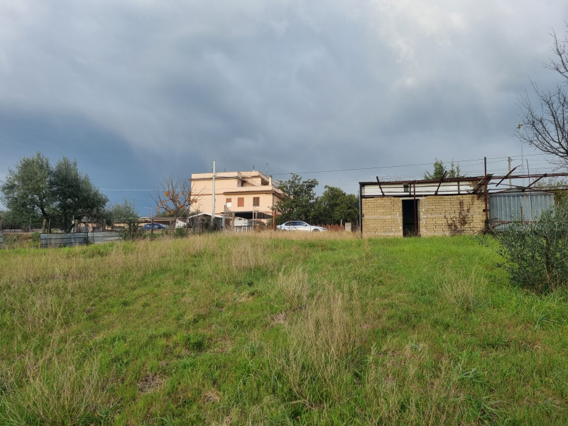 Tipologia Immobile: terreno edificabile Provincia: roma Comune: zagarolo Località:  Indirizzo: Via Angelo Poliziano