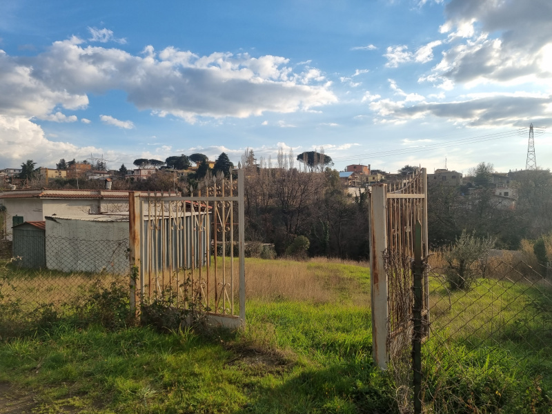 Tipologia Immobile: terreno edificabile Provincia: roma Comune: zagarolo Località:  Indirizzo: Via Angelo Poliziano