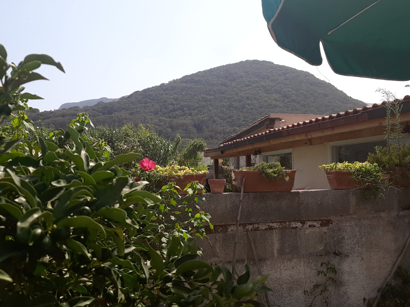 Tipologia Immobile: villa/indipendente Provincia: latina Comune: san felice circeo Località:  Indirizzo: Via Giuseppe Verdi