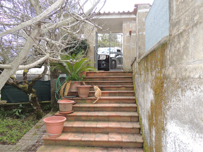 Tipologia Immobile: villa/indipendente Provincia: latina Comune: sonnino Località:  Indirizzo: Via Monte Pero