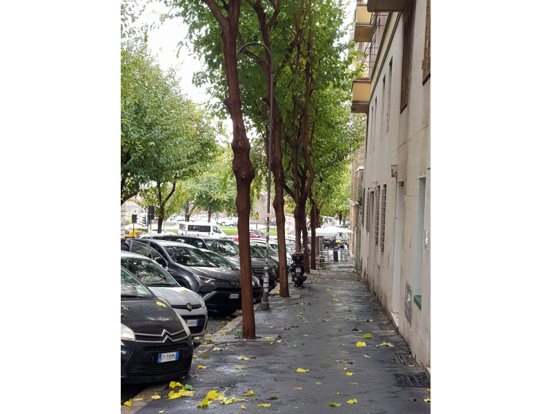 Tipologia Immobile: negozio Provincia: roma Comune: roma Località: san giovanni Indirizzo: Via dei Valeri