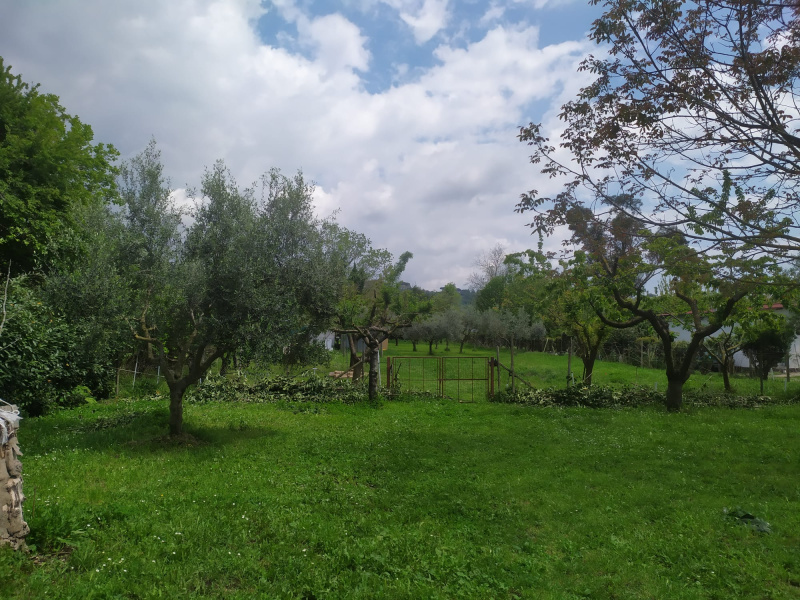 Tipologia Immobile: terreno agricolo Provincia: roma Comune: ariccia Località:  Indirizzo: Via di Mezzo