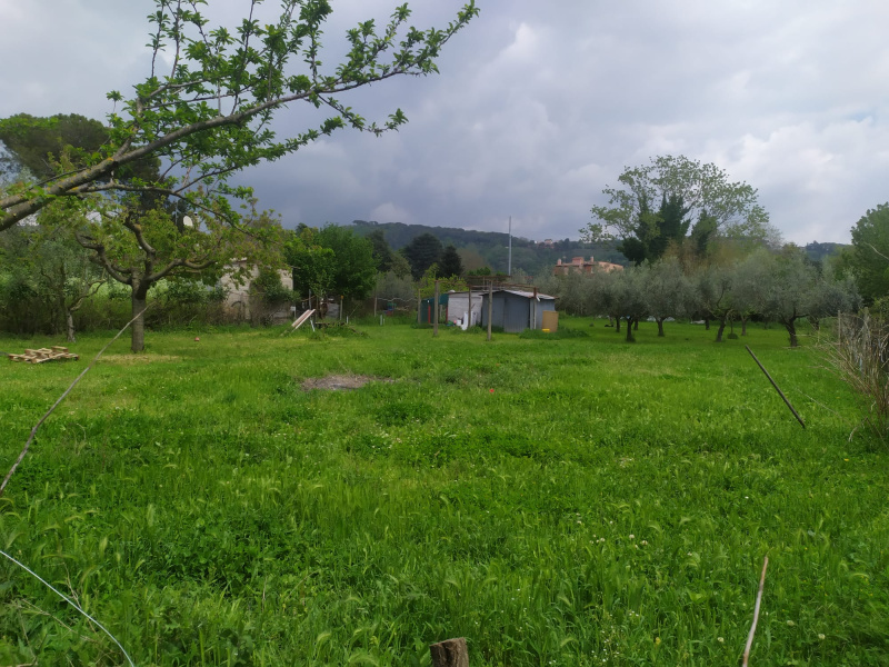 Tipologia Immobile: terreno agricolo Provincia: roma Comune: ariccia Località:  Indirizzo: Via di Mezzo