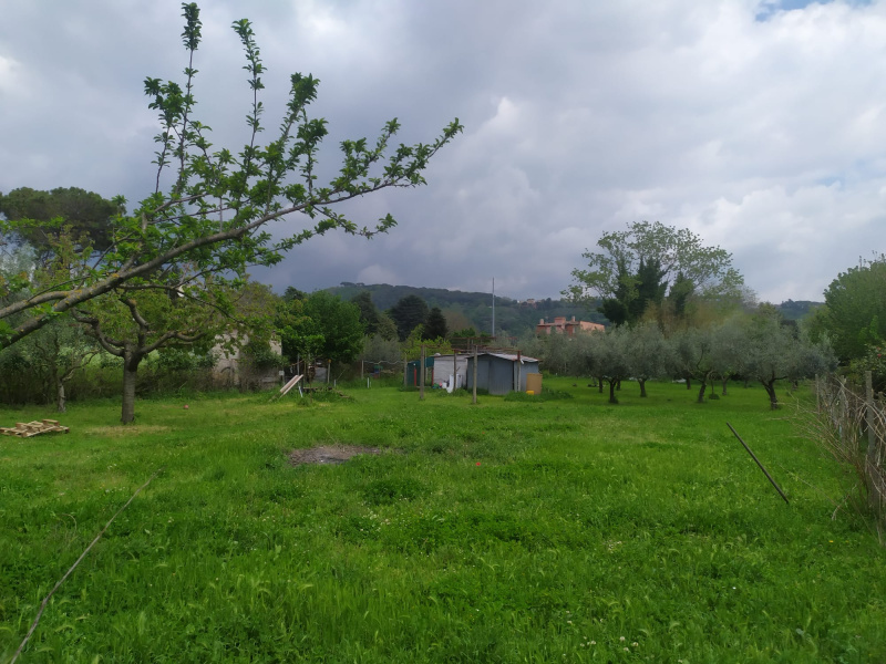 Tipologia Immobile: terreno agricolo Provincia: roma Comune: ariccia Località:  Indirizzo: Via di Mezzo